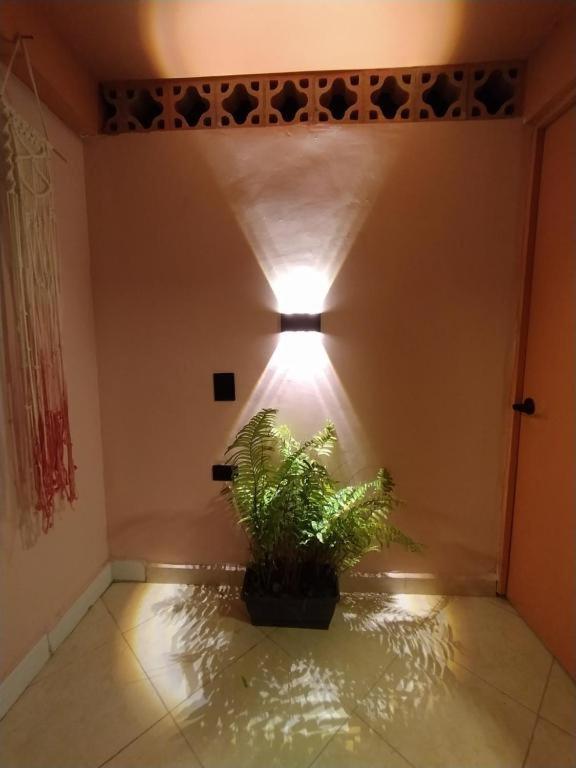 Hostal Casa Primavera メデジン エクステリア 写真