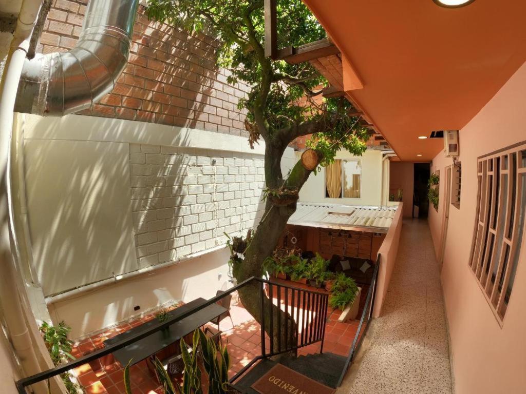 Hostal Casa Primavera メデジン エクステリア 写真